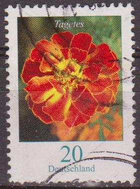 ALEMANIA 2005 Scott 2309 Sello Flora Flor Tagetes (marigold) 20 Usado Allemagne Duitsland Germania Germany Alemagne Deutschland 